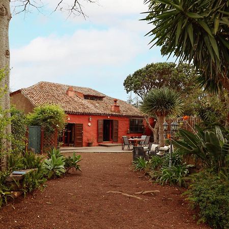 Masoala Guest House Tacoronte Luaran gambar