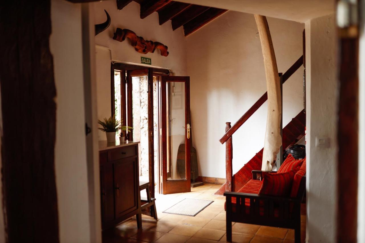 Masoala Guest House Tacoronte Luaran gambar